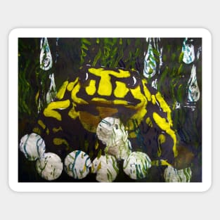 Australian Corroboree Frog in Rain Sticker